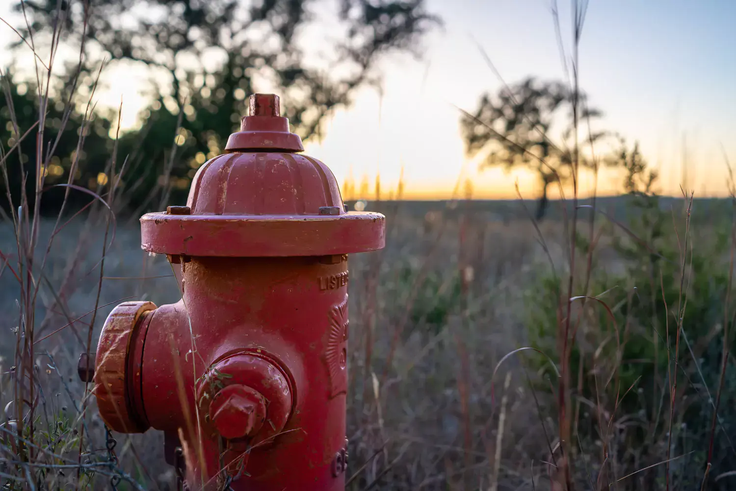 Close-up photo of a fire hydrant taken with the Sony 16-35mm f/2.8 G Master lens, highlighting its bokeh and shallow depth of field.